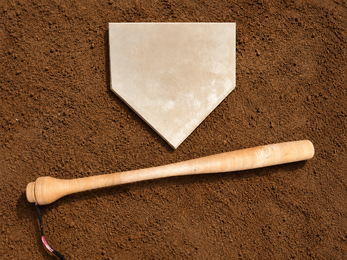 Haptic Baseball Bat preview